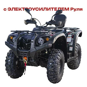 Квадрицикл BALTMOTORS BM500 EFI / EPS (черный)