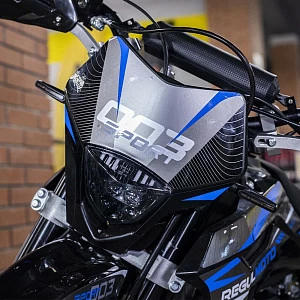 Мотоцикл Regulmoto Sport-003 PR 300 сс (Синий, , 100003-21-3)