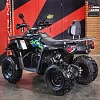 Снегоболотоход (квадроцикл) GLADIATOR (Mikilon) F200 (черный) с ПСМ