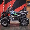 Снегоболотоход (квадроцикл) GLADIATOR (Mikilon) F200 (черный) с ПСМ