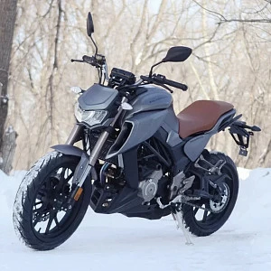 Мотоцикл Regulmoto ALIEN MONSTER 300 (Серебро, , 100012-11)